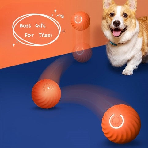 Automatic Smart Teasing Dog Ball