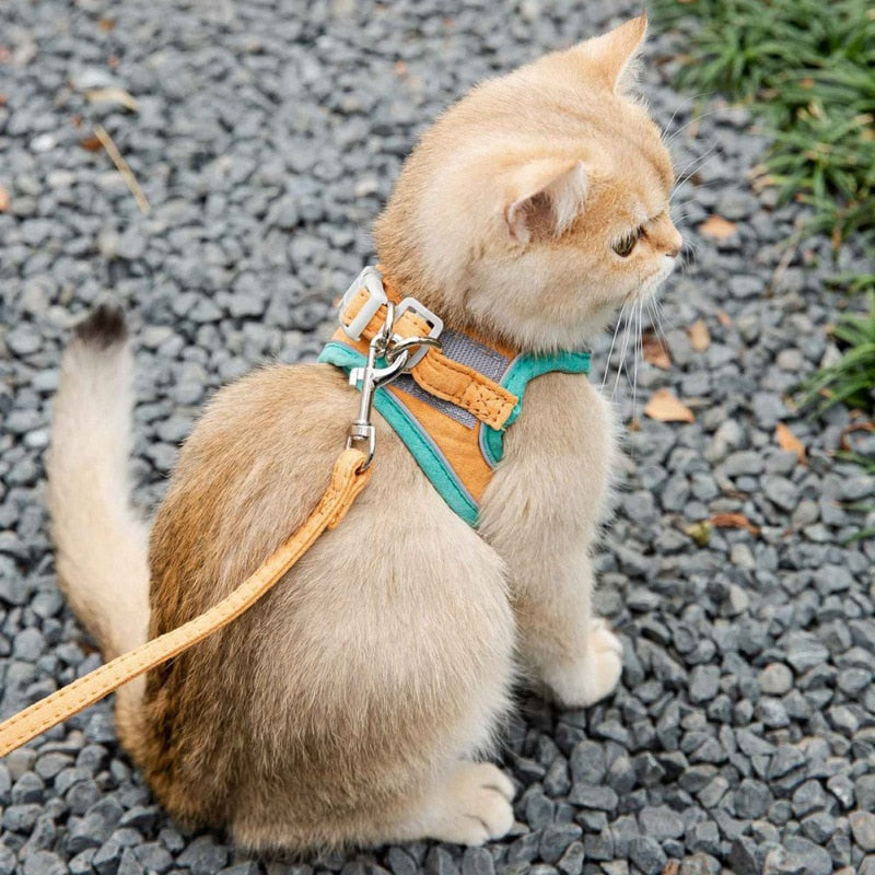 Adjustable Cat Harness Set