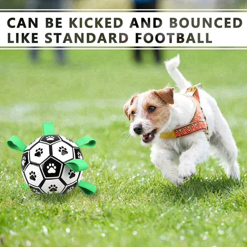 Dog Soccer Ball