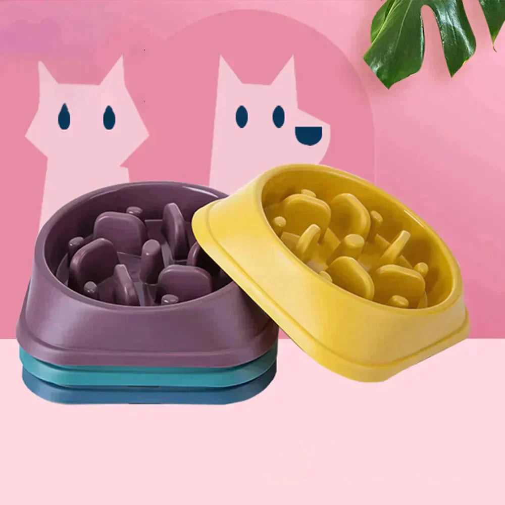 Pet Slow Feeder Bowl