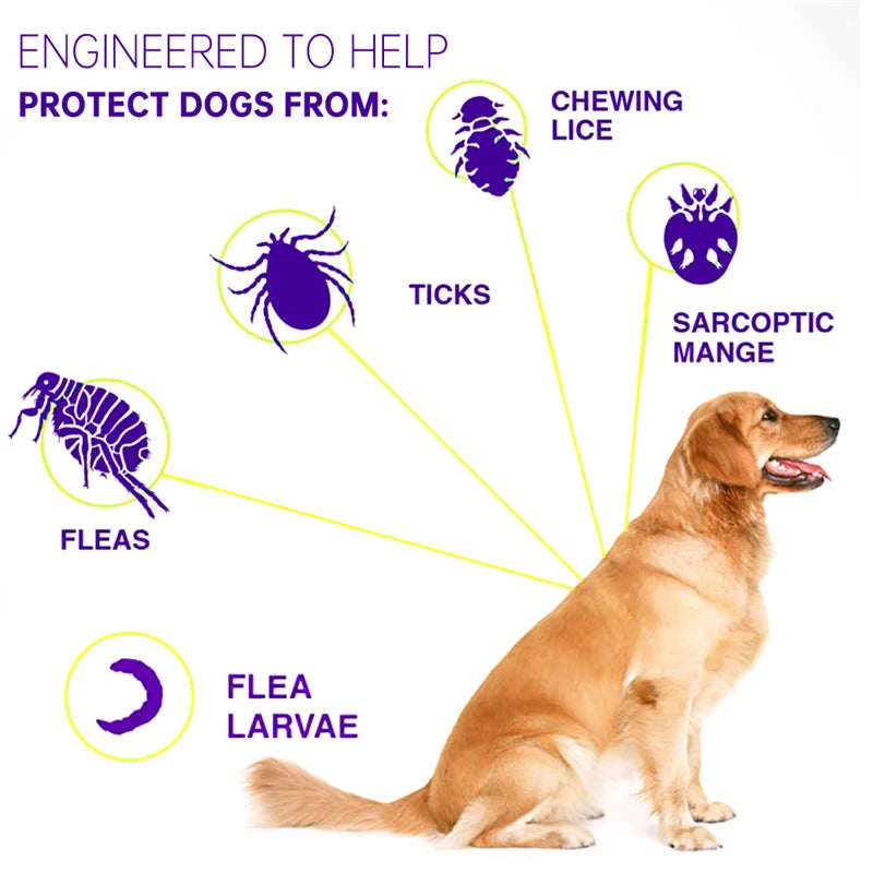 Tintix™ - Cat and Dog Flea & Tick Collar