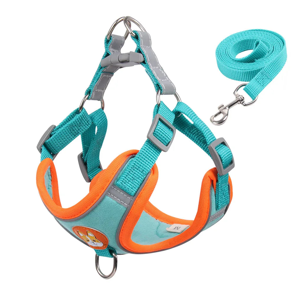 Dog Harness with Leash Set