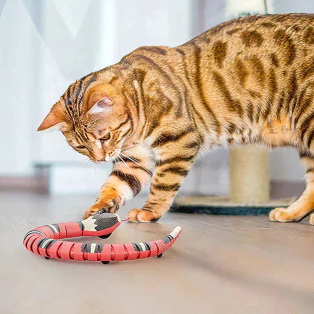 Smart Sensing Snake Cat Toy