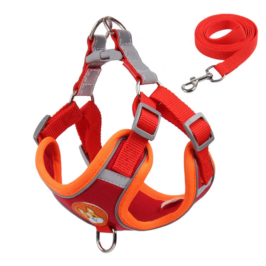 Dog Harness with Leash Set