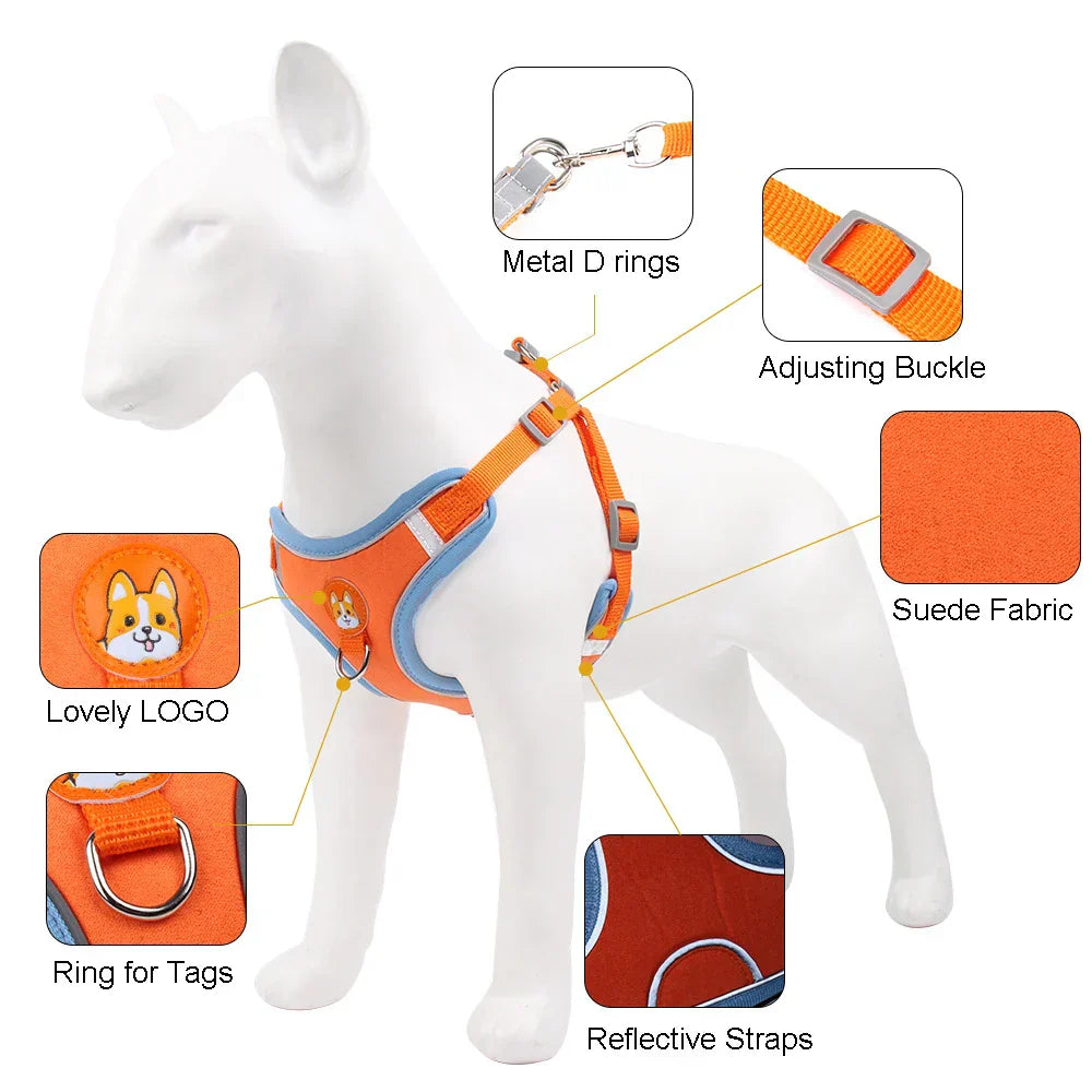 Dog Harness with Leash Set