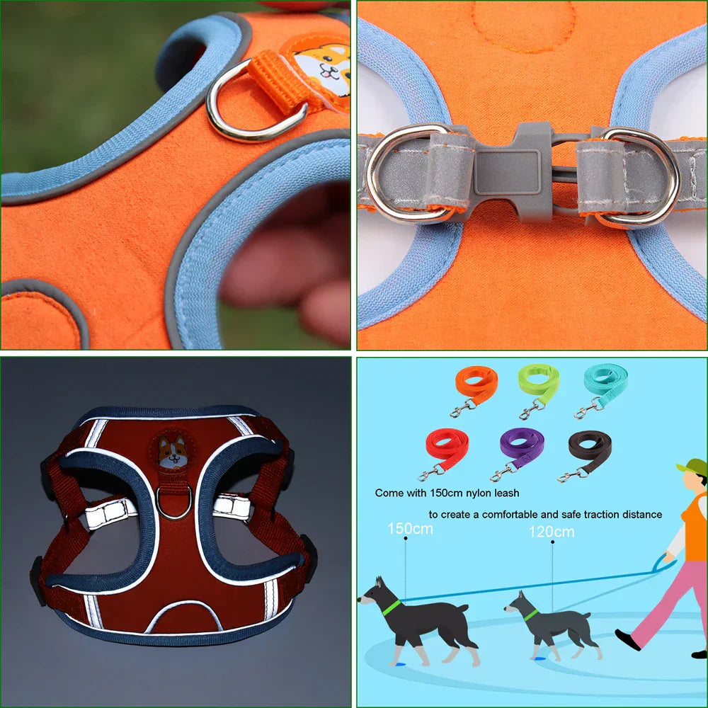 Dog Harness with Leash Set